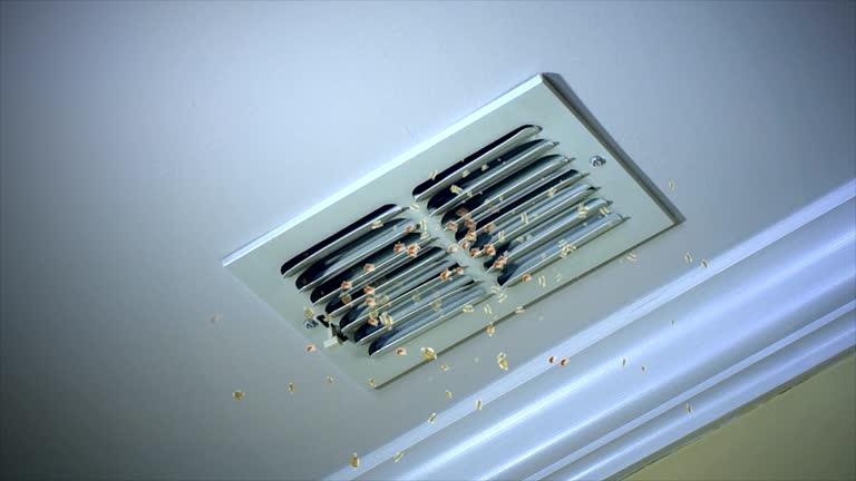 Best Air Duct Cleaning Company Near Me  in Yorkvle, IL