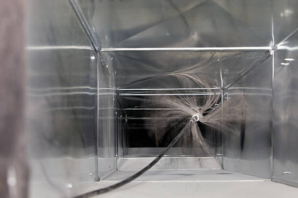 Best Air Duct Mold Removal  in Yorkvle, IL